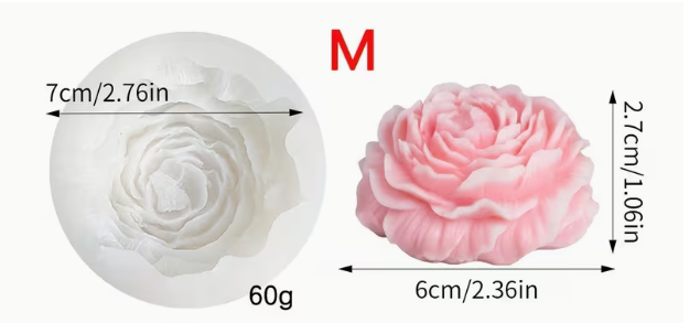 Captura de pantalla 2026-03-05 181315